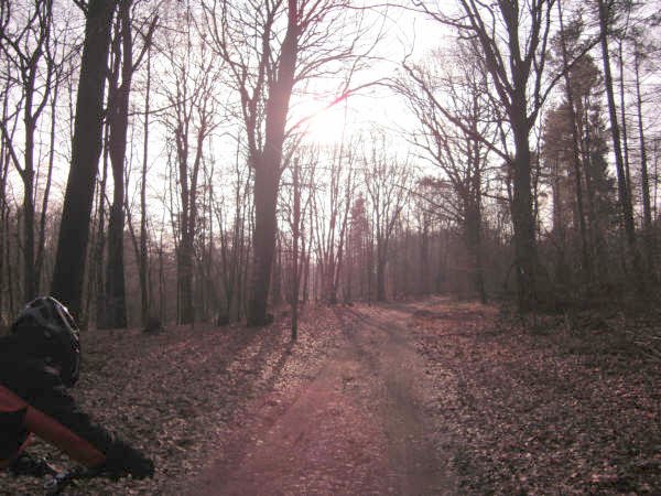CTF-Kattendorf tierfreund23 (62)